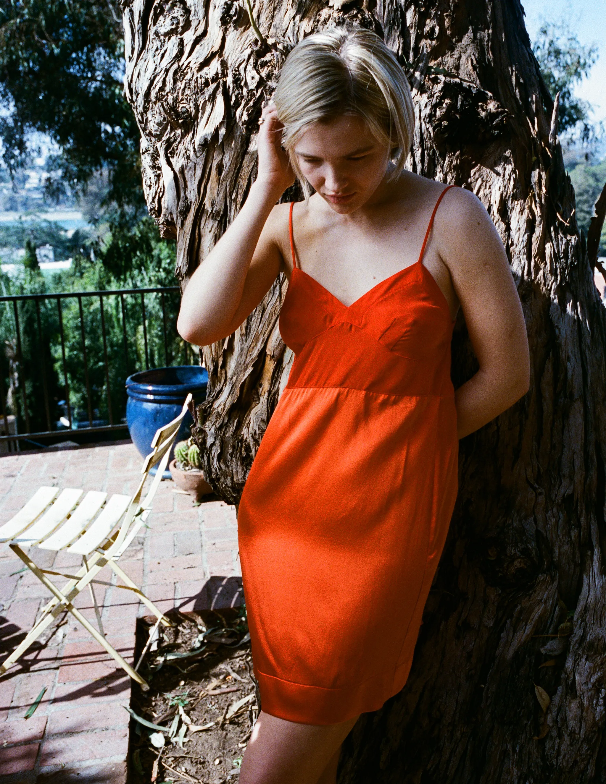 Holly Slip Burst