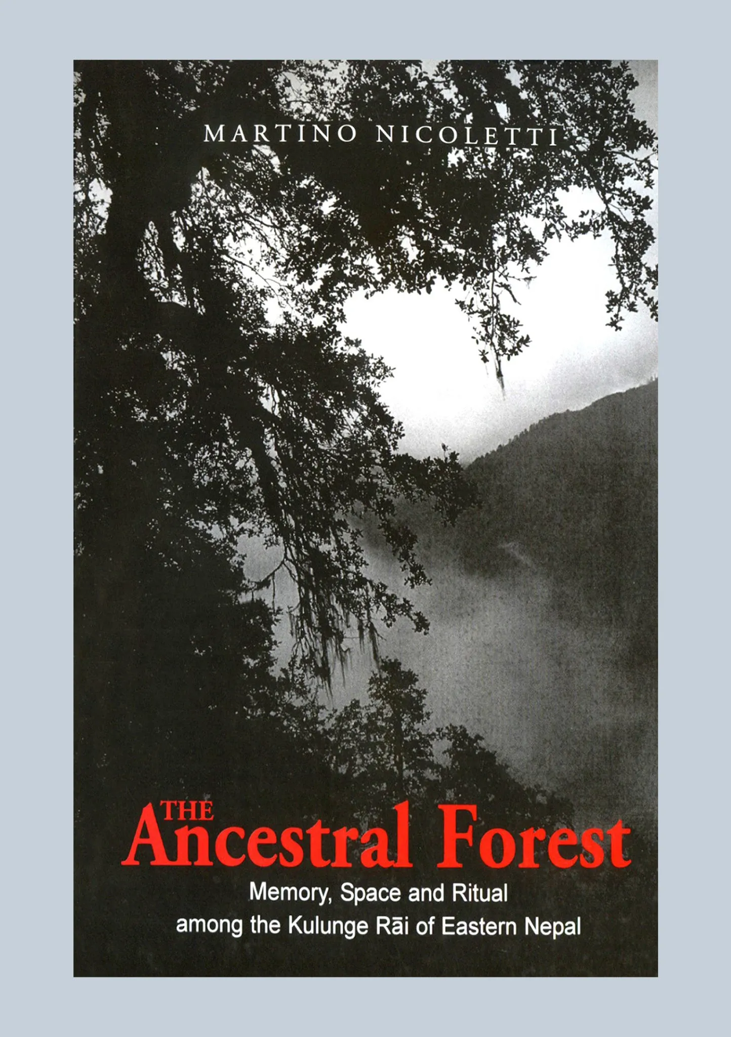 The Ancestral Forest by Martino Nicoletti